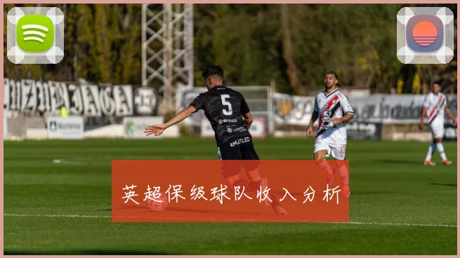 英超保级球队收入分析