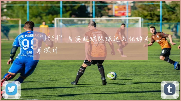 “1664”与英超球队球迷文化的关系探讨