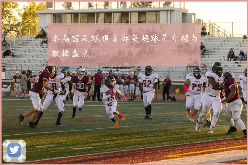 水晶宫足球俱乐部英超球员介绍与数据盘点