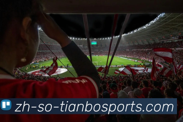 多媒体互动体验